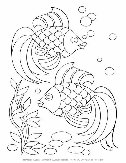 Hai chú cá nhỏ đang bơi đối diện nhau như đang trò chuyện tâm tình trong không gian động vật dưới nước tĩnh lặng và sâu thẳm vô cùng.