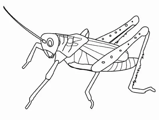 Tặng bé ngay 50 Tranh Tô Màu Cào Cào Châu Châu và đồng ruộng thân quen