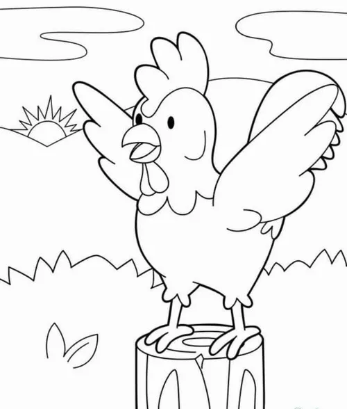 Chú gà trống rướn cổ cao cất tiếng gáy sáng oai hùng trên bờ rào gỗ khi ánh mặt trời vừa ló dạng phía sau đồi xanh.