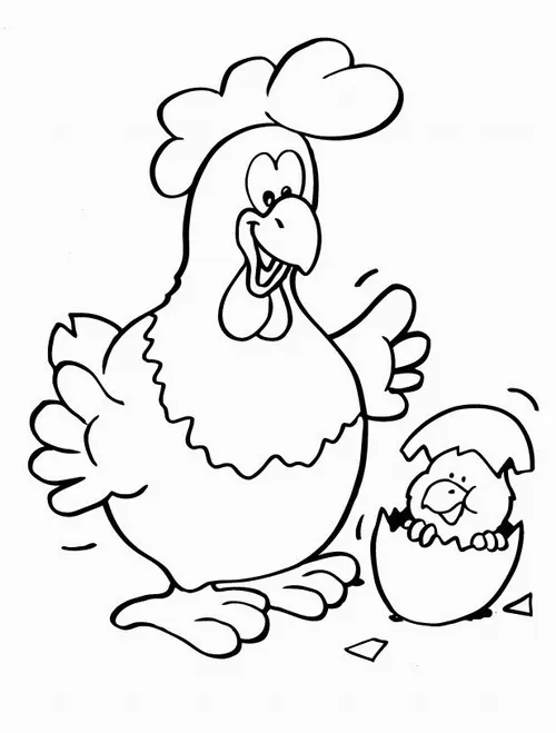 Khoảnh khắc gà mẹ âu yếm nhìn con nhỏ vừa mới chào đời bên cạnh mảnh vỏ trứng còn sót lại thật là xúc động và đáng nhớ.