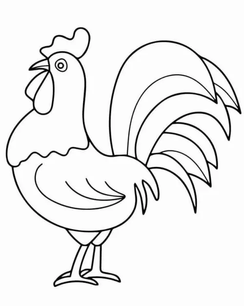 Chú gà trống oai vệ đứng nghiêng mình khoe chiếc mào gà đỏ rực và cái đuôi cong vút vô cùng lộng lẫy giữa sân nắng.