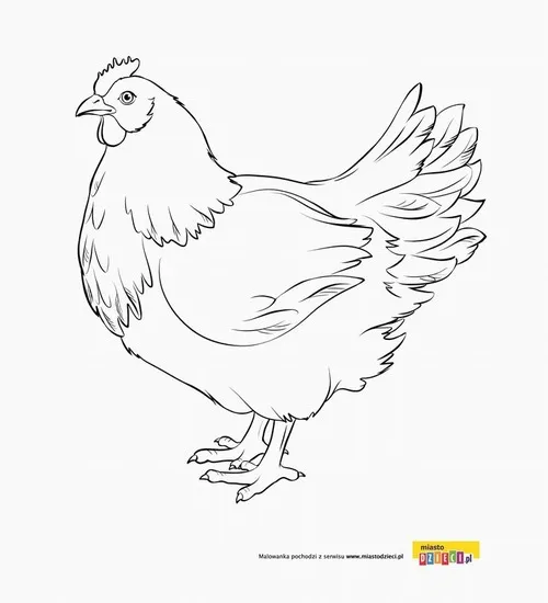 Hình ảnh cô con kê đang thong thả bước đi với bộ lông mượt mà và cái nhìn hiền hậu trông thật thanh bình và tĩnh lặng.