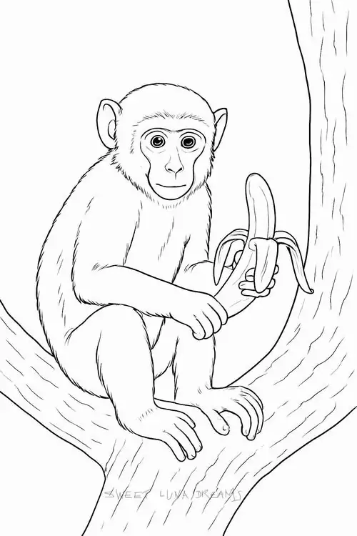 Chú khỉ trưởng thành ngồi trên cành cây lớn đang bóc vỏ chuối điêu luyện thể hiện tập tính trong môi trường hoang dã cho trẻ 4 tuổi.