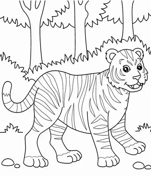 Dưới ánh trăng khuyết huyền ảo chú hổ đang lặng lẽ di chuyển qua những tán lá rậm rạp để bắt đầu hành trình săn mồi đêm.