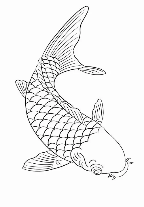 Chú cá gáy ngộ nghĩnh đang tròn mắt ngạc nhiên nhìn những hạt mưa rơi xuống mặt sóng nước lăn tăn tạo nên vòng tròn nhỏ.