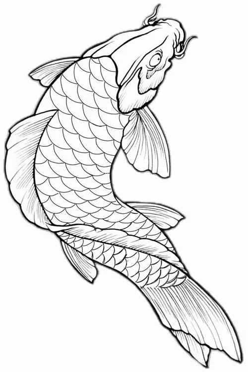 Chú cá chép đỏ nhỏ nhắn đang phập phồng đôi mang cá nhỏ xíu khi bơi lội tung tăng trong chiếc bể kính tròn xinh xắn.