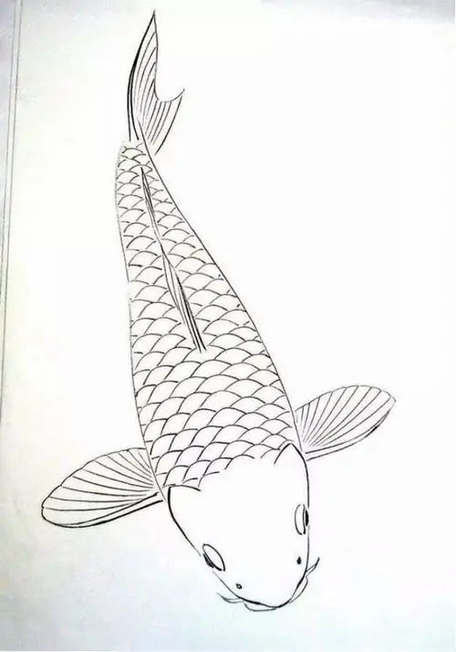 Trang tập tô màu khắc họa sinh động cảnh chú cá chép kính lấp lánh đang trú mình dưới một lá sen khổng lồ trong hồ sen vắng.