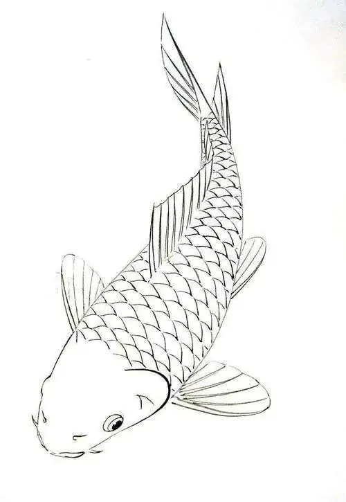 Nét vẽ tinh xảo mô tả từng lớp vảy cá xếp chồng lên nhau đều đặn trên thân mình một chú cá chép đang bơi lội thảnh thơi.