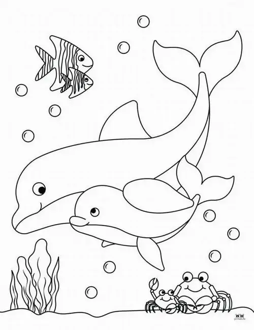 Hai mẹ con nhà cá đang quấn quýt bên nhau thể hiện rõ tình cảm gia đình ấm áp thông qua hoạt động nuôi con bằng sữa mẹ.