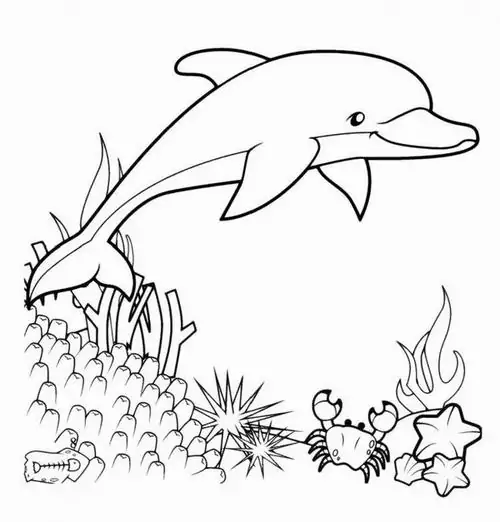 Hình ảnh chú cá đang lặn sâu xuống dưới đáy biển nơi có những rạn san hô rực rỡ sắc màu tạo nên một khung cảnh kỳ ảo.