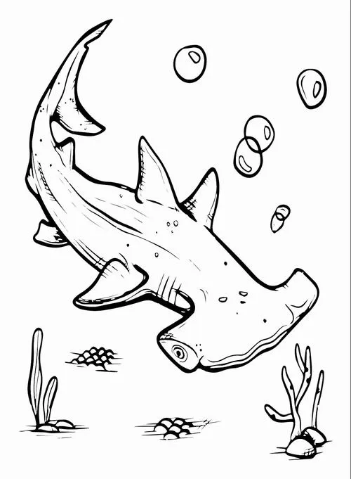 Chú hung thần biển cả đầu búa bơi lội uyển chuyển giữa những cụm rong biển và bọt khí lăn tăn trông thật sống động và thu hút