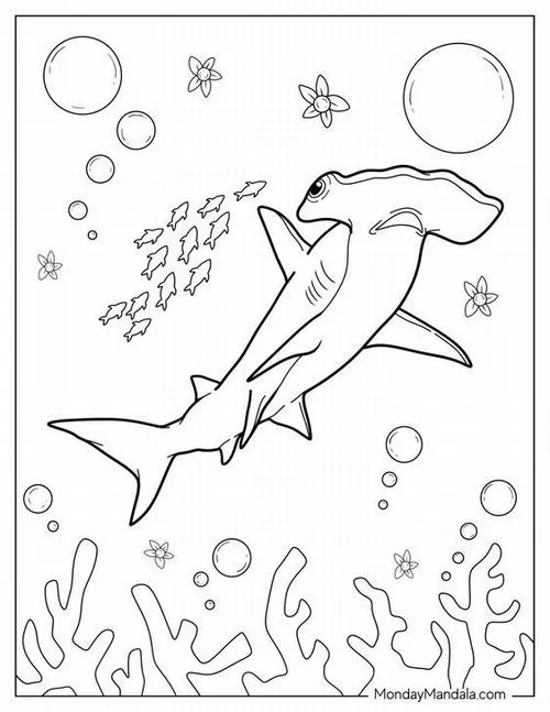 Chú cá mập đầu búa hướng thẳng lên mặt nước với những dải bọt khí bao quanh thân hình mang vẻ nhanh nhẹn đặc trưng của cá sụn