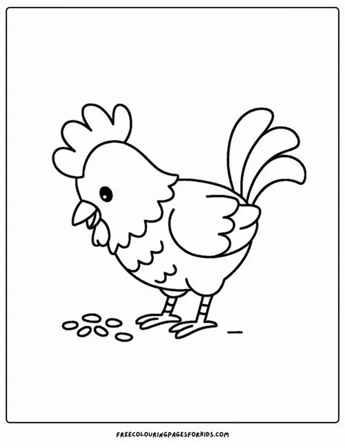 Một chú gà đang chăm chú mổ những hạt thóc cám vương vãi trên nền đất với dáng vẻ miệt mài khiến bức ảnh mang đậm hơi thở đời thường.