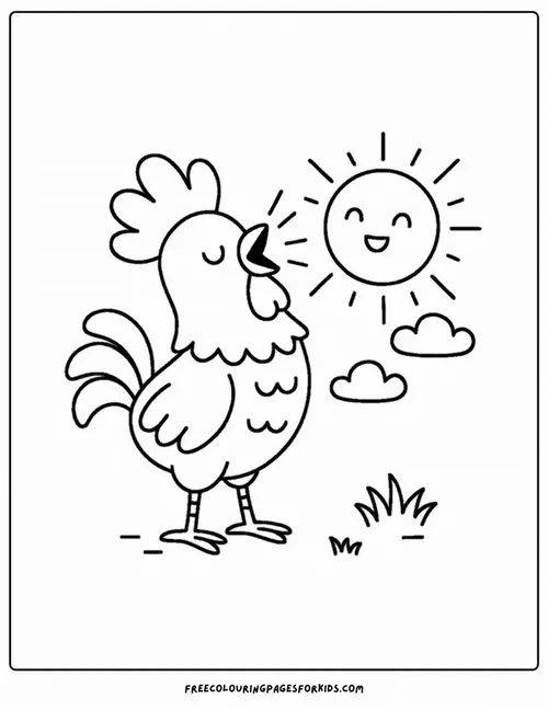 Một chú gà trống đứng trên mỏm đá hướng về phía mặt trời để chuẩn bị cất tiếng gáy vang vọng khắp không gian núi rừng rộng lớn và hùng vĩ.