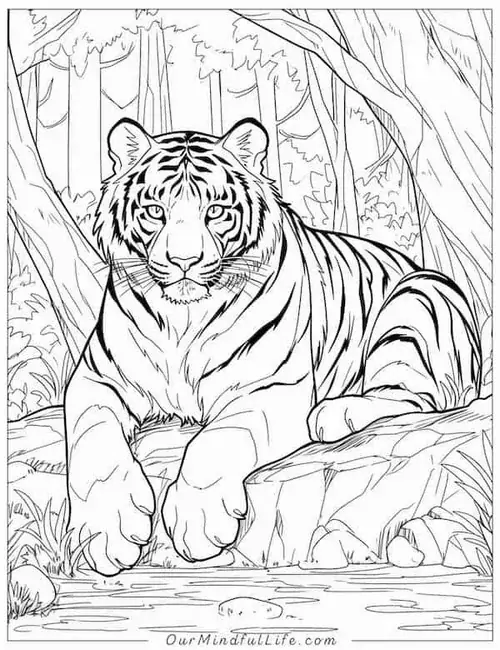 Trang tập tô màu chú cọp nằm thư giãn trên mỏm đá bên cạnh dòng suối nhỏ chảy róc rách tạo nên không gian thiên nhiên hoang dã bình yên.