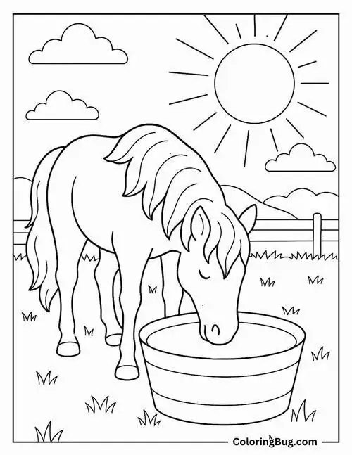 Bản vẽ tô màu những chú ngựa hoang dã Mustang đang tự do chạy nhảy trên những vách đá treo leo thể hiện rõ sự tự do hoang dã.