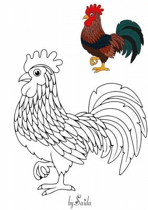 Kê con đang soi mình bên dòng suối nhỏ trong vắt chảy quanh bìa rừng tạo nên một bức tranh thiên nhiên thật sống động