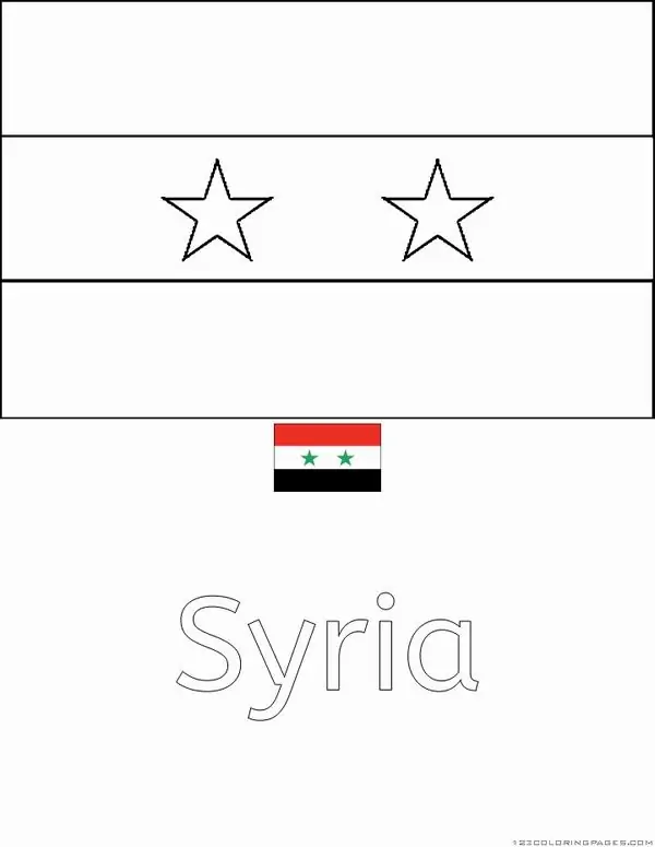 Bản vẽ phác thảo cờ thế giới Syria gồm hai ngôi sao xanh nằm giữa dải màu trắng tạo nên một cảm giác yên bình cho bé 5 tuổi.