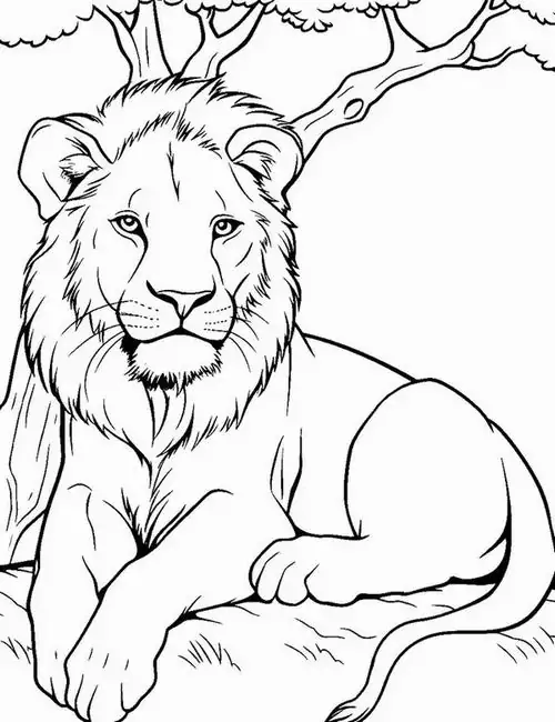 Một chú mãnh sư với vẻ ngoài trầm tư đang nhìn về phía chân trời thảo nguyên bao la cho thấy sức mạnh của một con vật ăn thịt cho trẻ 7 tuổi.