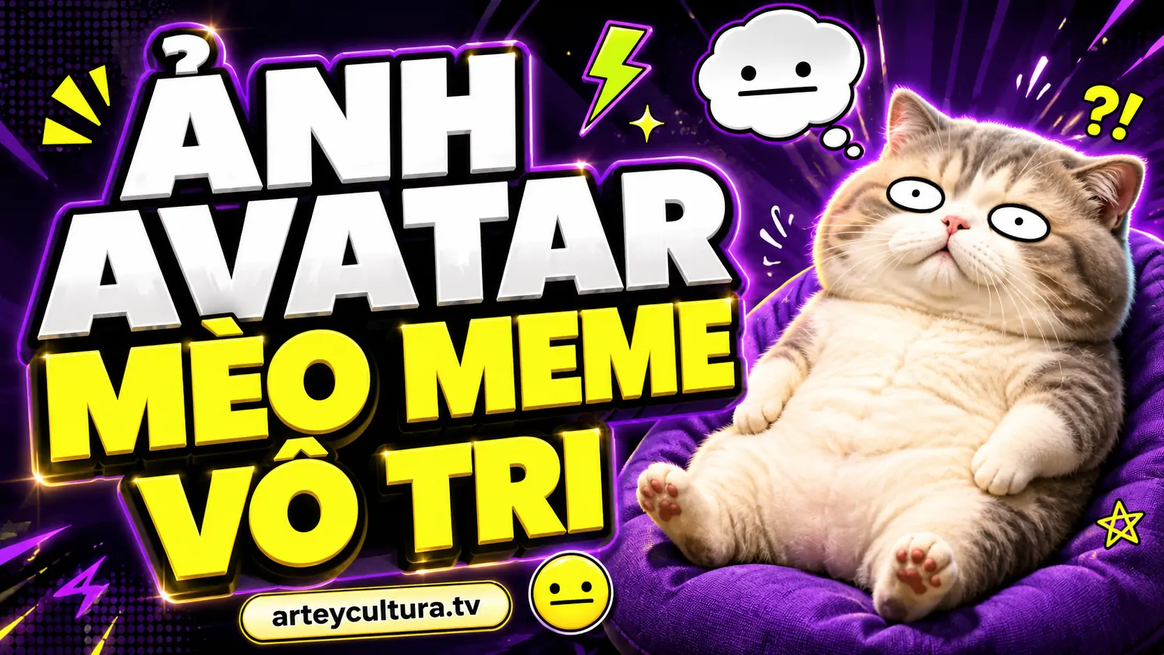 199 Ảnh Avatar Mèo Meme Vô Tri vui nhộn hợp người trẻ muốn thể hiện tâm trạng bất cần