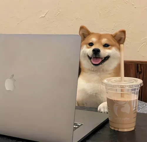 anh profile cho shiba ngau va tau hai 9