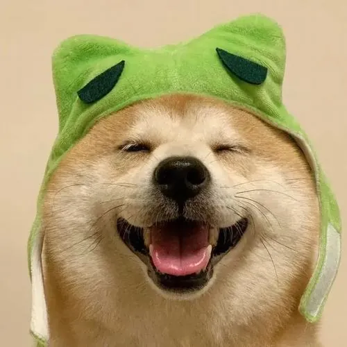Chó Shiba Inu đội mũ ếch xanh, miệng cười rạng rỡ và mắt híp lại tạo cảm giác vui tươi như đang khoe chiến tích