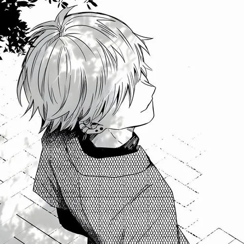 hinh man hinh may tinh anime hai mau ca tinh 13