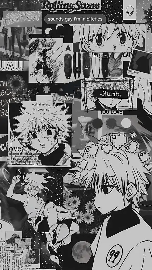 hinh man hinh may tinh anime hai mau ca tinh 22