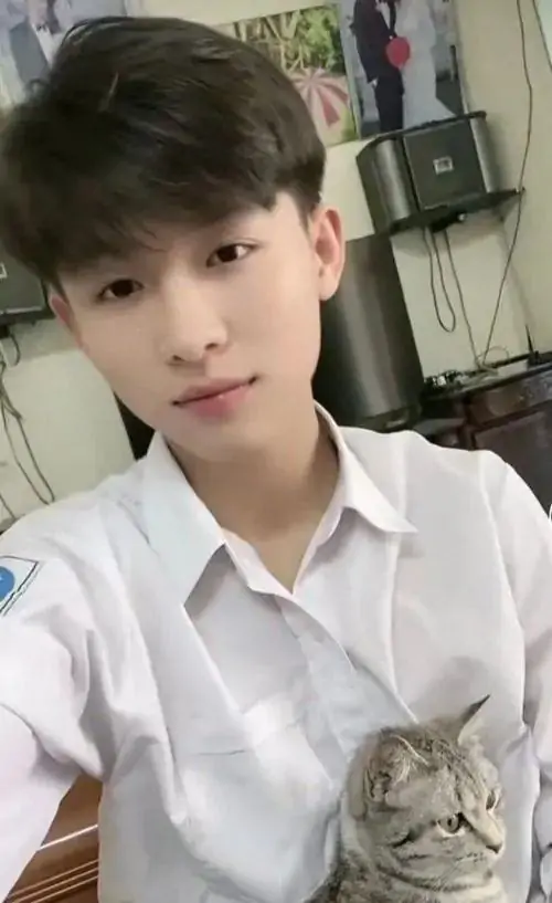 Chiếc áo sơ mi trắng giúp bạn nam K11 thêm sáng sủa, tay ôm mèo xám nhỏ và nụ cười nhẹ tạo cảm giác hiền