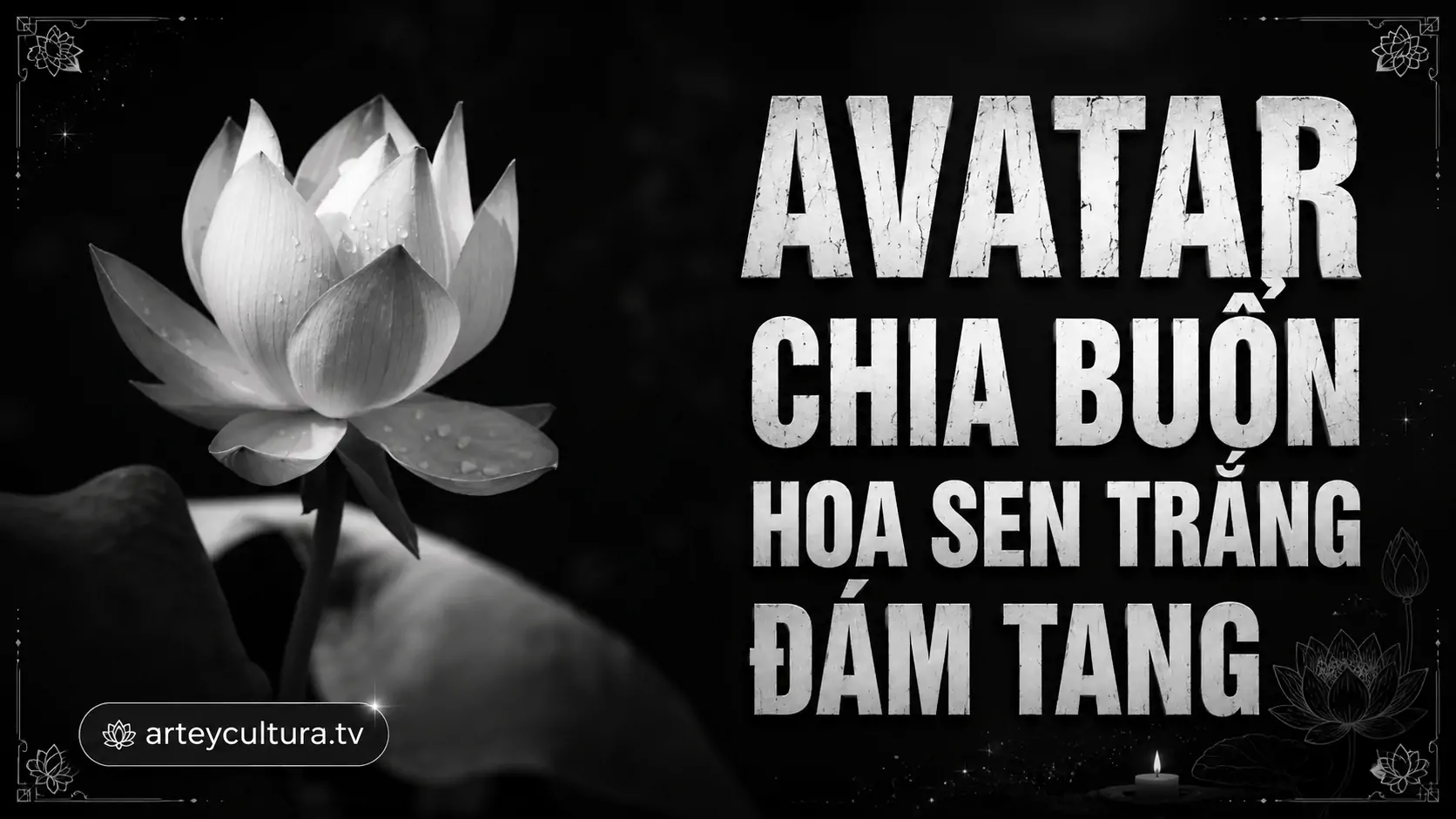 150 Ảnh Avatar Chia Buồn Hoa Sen Trắng Đám Tang thanh tịnh giúp báo tin buồn một cách nhẹ nhàng