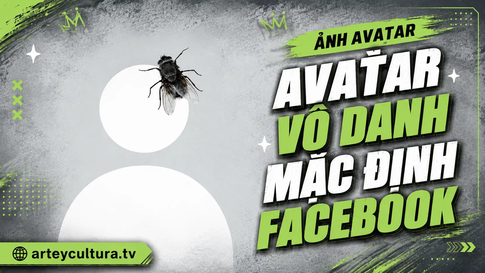 177 Ảnh Avatar Vô Danh Mặc Định Facebook trung lập giới tính chế độ kín đáo và riêng tư cá nhân