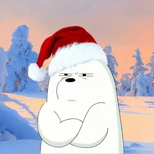 Avt Zalo avatar con gấu trắng khoanh tay giữa nền tuyết, mũ Noel đỏ làm biểu cảm lạnh lùng nhìn hài hước hơn